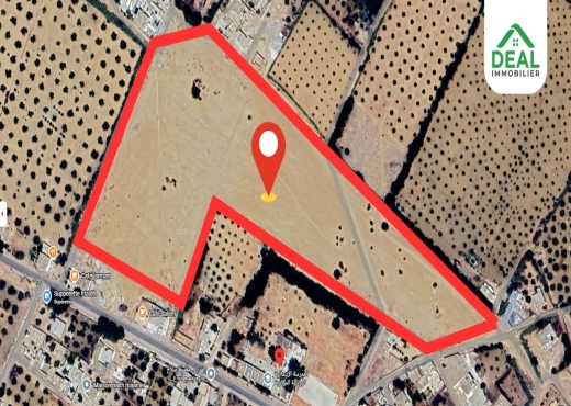 Lotissement de 6 hectare et demi à Kroussia