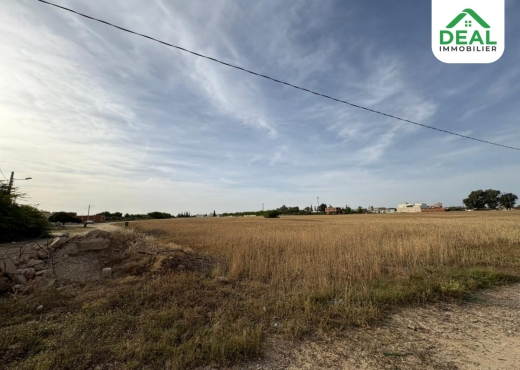 Lotissement de 6 hectare et demi à Kroussia - Bien immobilier à {"id":20,"country_id":219,"name":"SOUSSE","slug":"sousse"} - Image 3 - Agence Deal Immobilier