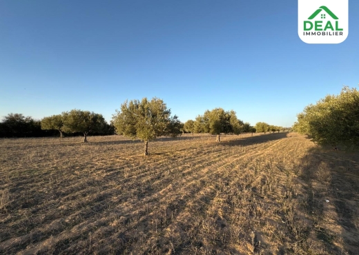 للبيع : أرض فلاحية - Bien immobilier à {"id":20,"country_id":219,"name":"SOUSSE","slug":"sousse"} - Agence Deal Immobilier