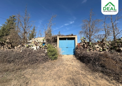 أرض فلاحية للبيع - Bien immobilier à {"id":20,"country_id":219,"name":"SOUSSE","slug":"sousse"} - Image 4 - Agence Deal Immobilier