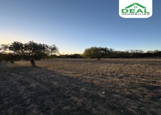 للبيع : أرض فلاحية - Bien immobilier à {"id":20,"country_id":219,"name":"SOUSSE","slug":"sousse"} - Image 4 - Agence Deal Immobilier