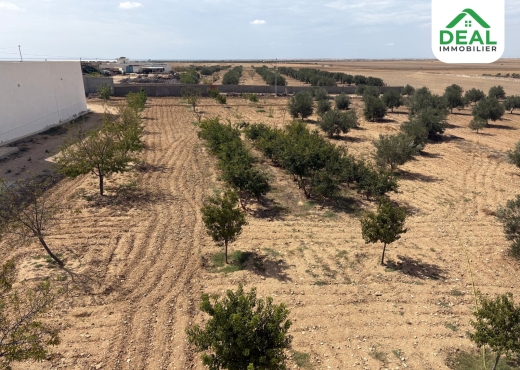 Seniya de 4 hectare et 5000 m² à vendre - Bien immobilier à {"id":20,"country_id":219,"name":"SOUSSE","slug":"sousse"} - Agence Deal Immobilier