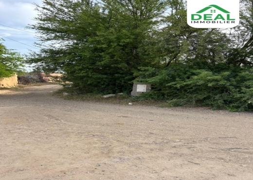 Lotissement de 6 hectare et demi à Kroussia - Bien immobilier à {"id":20,"country_id":219,"name":"SOUSSE","slug":"sousse"} - Agence Deal Immobilier