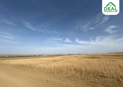 هنشير فلاحي يقع جهة كروسيا - Bien immobilier à {"id":20,"country_id":219,"name":"SOUSSE","slug":"sousse"} - Agence Deal Immobilier