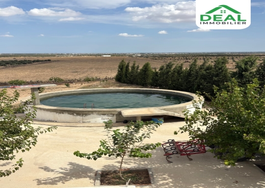 Seniya de 4 hectare et 5000 m² à vendre - Bien immobilier à {"id":20,"country_id":219,"name":"SOUSSE","slug":"sousse"} - Image 4 - Agence Deal Immobilier