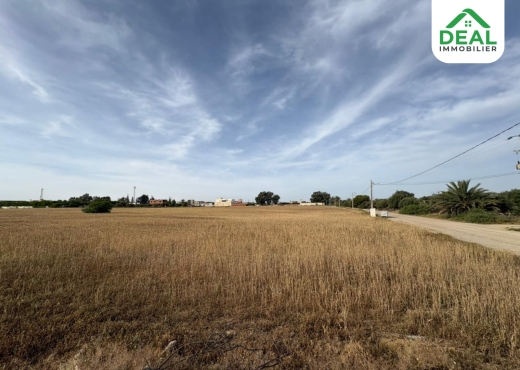 Lotissement de 6 hectare et demi à Kroussia - Bien immobilier à {"id":20,"country_id":219,"name":"SOUSSE","slug":"sousse"} - Image 2 - Agence Deal Immobilier