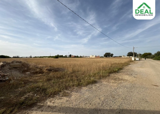 Lotissement de 6 hectare et demi à Kroussia - Bien immobilier à {"id":20,"country_id":219,"name":"SOUSSE","slug":"sousse"} - Image 4 - Agence Deal Immobilier