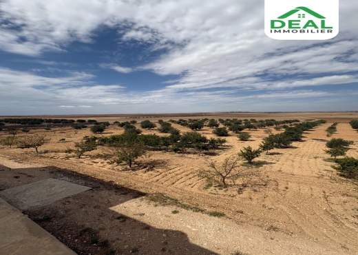 Seniya de 4 hectare et 5000 m² à vendre - Bien immobilier à {"id":20,"country_id":219,"name":"SOUSSE","slug":"sousse"} - Image 2 - Agence Deal Immobilier