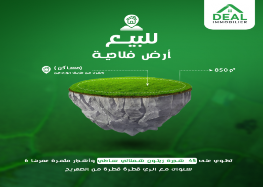 A Vendre Terrain Zone Agricole MSAKEN - Bien immobilier à {"id":20,"country_id":219,"name":"SOUSSE","slug":"sousse"} - Agence Deal Immobilier