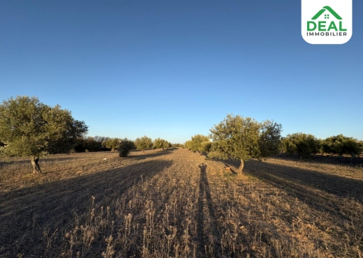 للبيع : أرض فلاحية - Bien immobilier à {"id":20,"country_id":219,"name":"SOUSSE","slug":"sousse"} - Image 2 - Agence Deal Immobilier