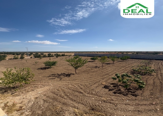 A vendre Ferme Olivier à Msaken - Bien immobilier à {"id":20,"country_id":219,"name":"SOUSSE","slug":"sousse"} - Image 3 - Agence Deal Immobilier